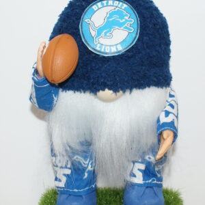 Football Detroit Lions 7