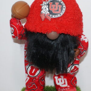 Football Utah Utes 1