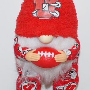 Football Utah Utes 2
