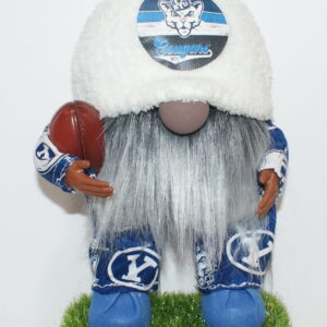 Football BYU Cougars 6