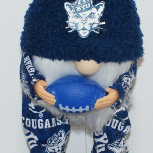 Football BYU Cougars 7