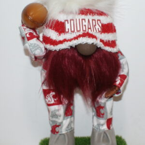 Football WSU Cougars 33