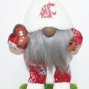Football WSU Cougars 34