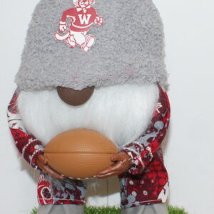 Football WSU Cougars 35