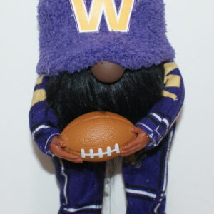Football UW Huskies 39