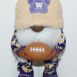 Football UW Huskies 40