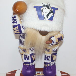 Football UW Huskies 41