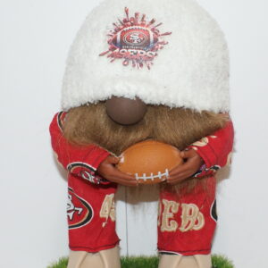 Football SF 49ers 29