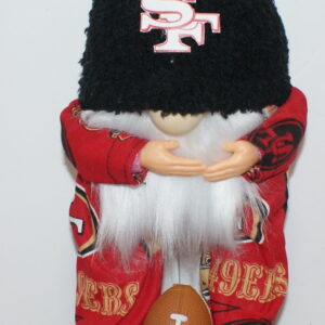 Football SF 49ers 30