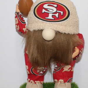 Football SF 49ers 31