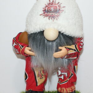 Football SF 49ers 32