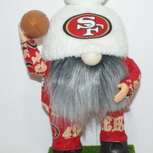 Football SF 49ers 33