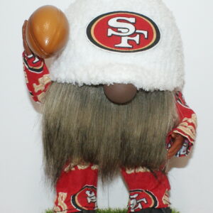Football SF 49ers 34