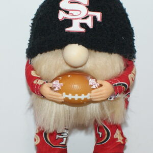 Football SF 49ers 35