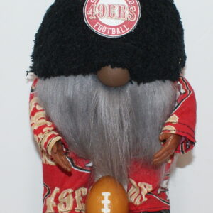 Football SF 49ers 36