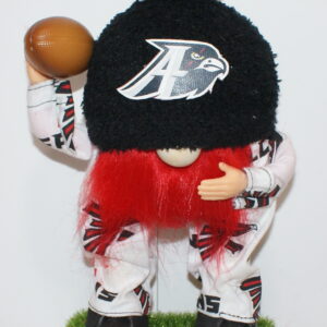 Football Atlanta Falcons 5
