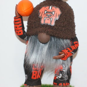 Football Cleveland Browns 5