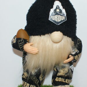 Football Purdue Boilermakers 2