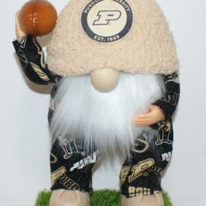 Football Purdue Boilermakers 3