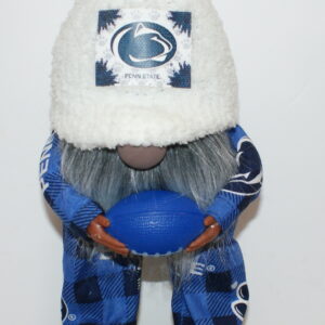 Football Penn State Nittnay Lions 4