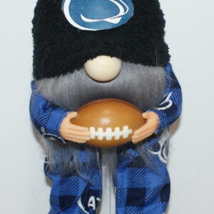 Football Penn State Nittnay Lions 5