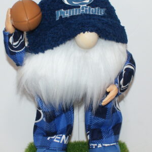 Football Penn State Nittnay Lions 6