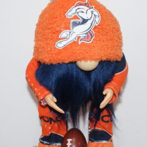 Football Denver Broncos 21