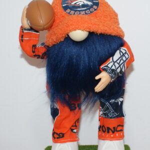 Football Denver Broncos 22