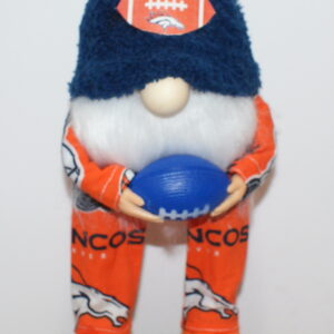 Football Denver Broncos 23