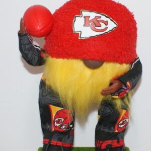 Football Kansas City Chiefs 25