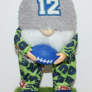 Football Seattle Seahawks 149