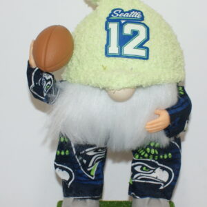Football Seattle Seahawks 160