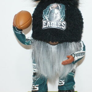 Football Philadelphia Eagles 20