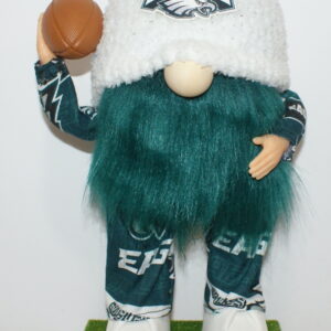 Football Philadelphia Eagles 21