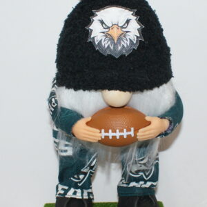 Football Philadelphia Eagles 22
