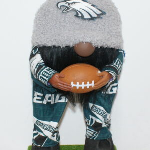 Football Philadelphia Eagles 23