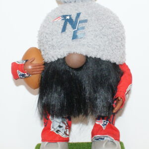 Football NE Patriots 8