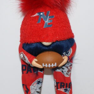 Football NE Patriots 11