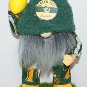 Football GB Packers 23