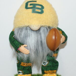 Football GB Packers 26