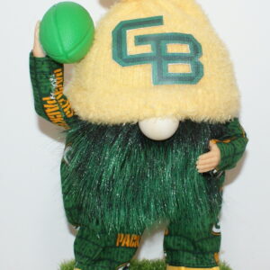 Football Green Bay Packers 27
