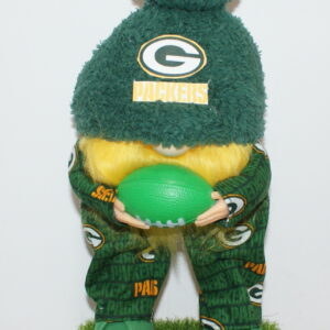 Football Green Bay Packers 28