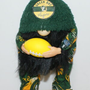 Football Green Bay Packers 29