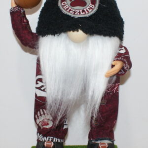 Football Montana Grizzlies 3