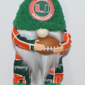Football Miami Hurricanes 3